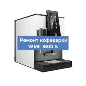 Ремонт капучинатора на кофемашине WMF 1800 S в Краснодаре